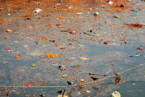 the filthy holy water of the Ganges